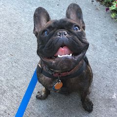 Walter