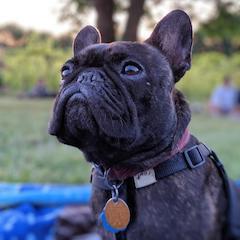 Walter