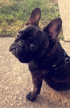 Walter